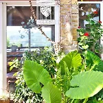 Cozy Istrian House Kır Evi *