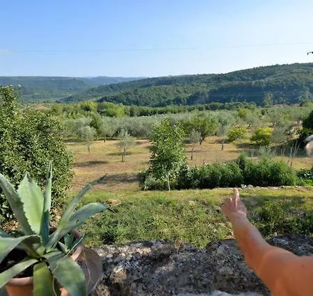 カントリーハウス Cozy Istrian House イゾラ