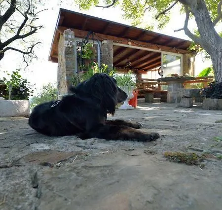 Cozy Istrian House カントリーハウス