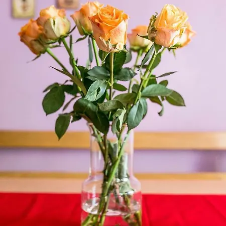 Cozy Istrian House *