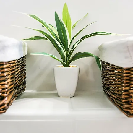 Cozy Istrian House カントリーハウス *