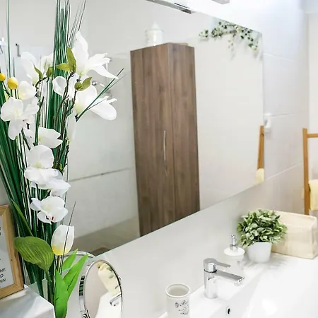 Cozy Istrian House カントリーハウス