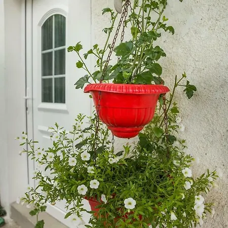 Cozy Istrian House * 이졸라