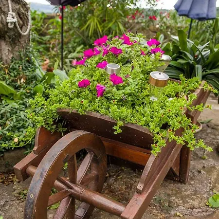 Cozy Istrian House *