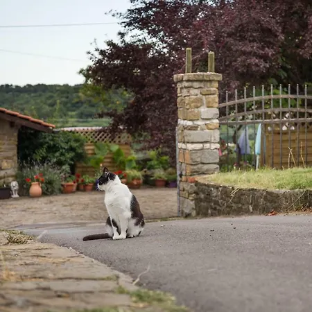 カントリーハウス Cozy Istrian House