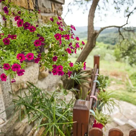 カントリーハウス Cozy Istrian House *