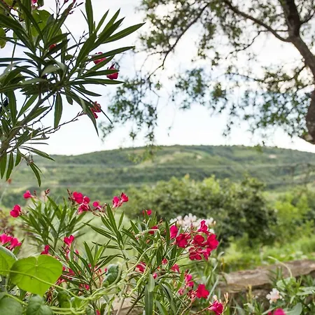 Cozy Istrian House カントリーハウス イゾラ