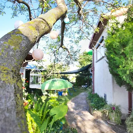 カントリーハウス Cozy Istrian House イゾラ