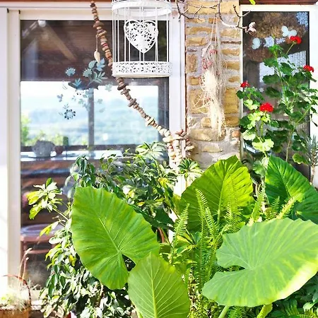 Cozy Istrian House Casa de Campo *