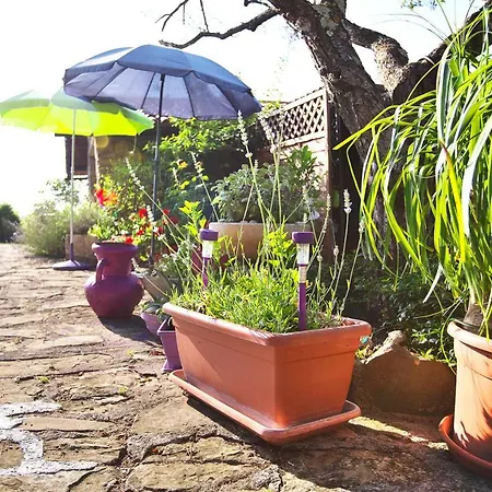 Cozy Istrian House Country house