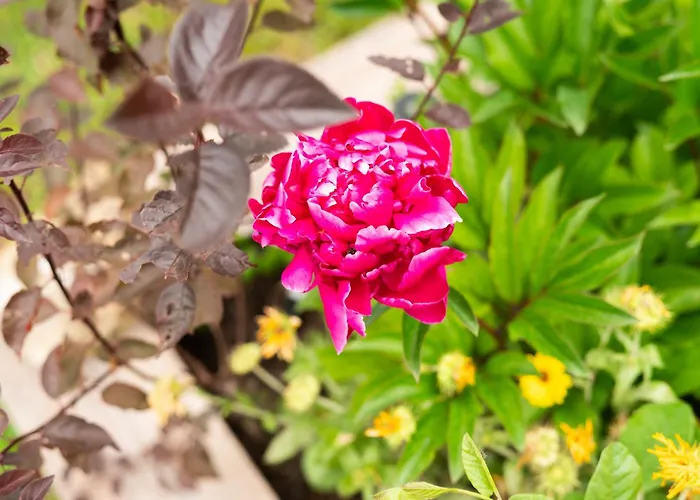 Cozy Istrian House Летний дом