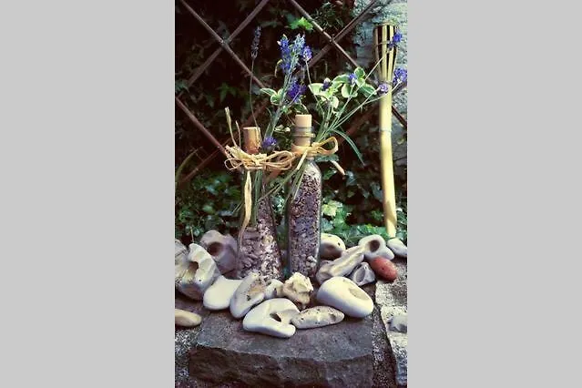 Cozy Istrian House Kır Evi