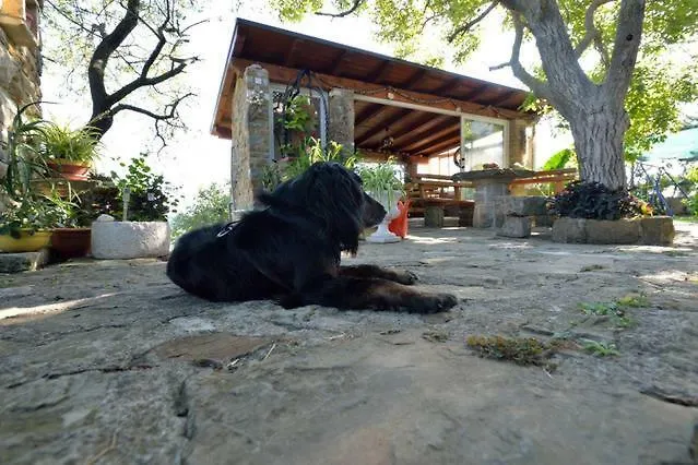 Cozy Istrian House Летний дом