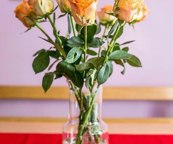 Cozy Istrian House *