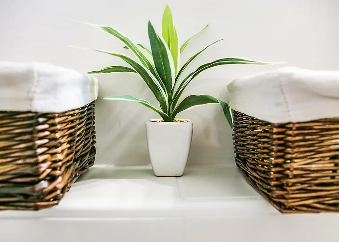 Cozy Istrian House Kır Evi *