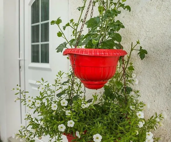 Cozy Istrian House * إيزولا