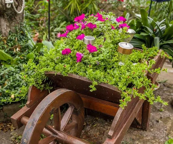 Cozy Istrian House *