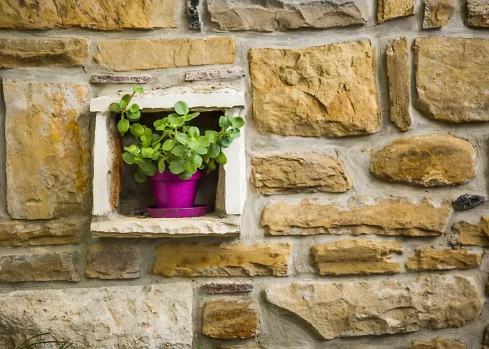 Летний дом Cozy Istrian House *