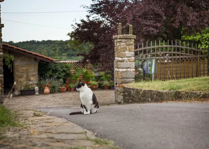 Kır Evi Cozy Istrian House