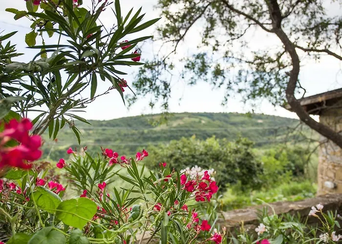 Cozy Istrian House منزل ريفي إيزولا