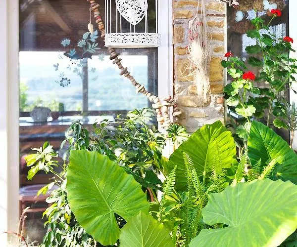 Cozy Istrian House Летний дом *