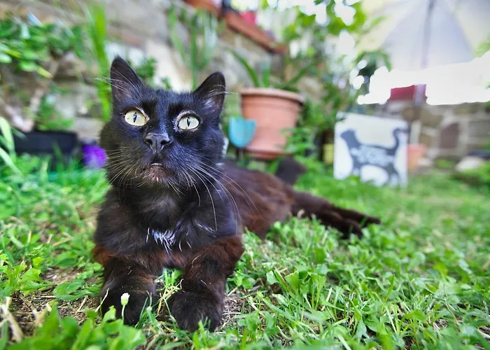 Летний дом Cozy Istrian House *